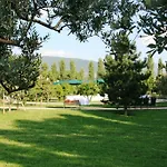 Delfina Palace
