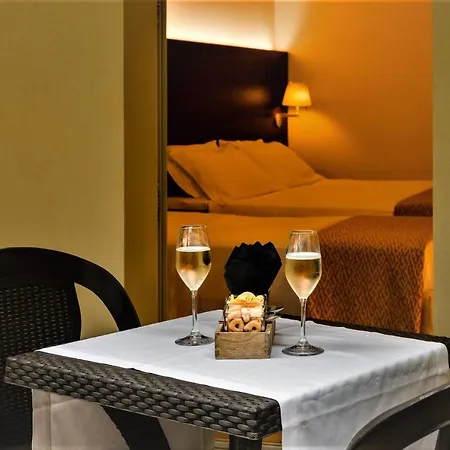 Delfina Palace Hotell 4*