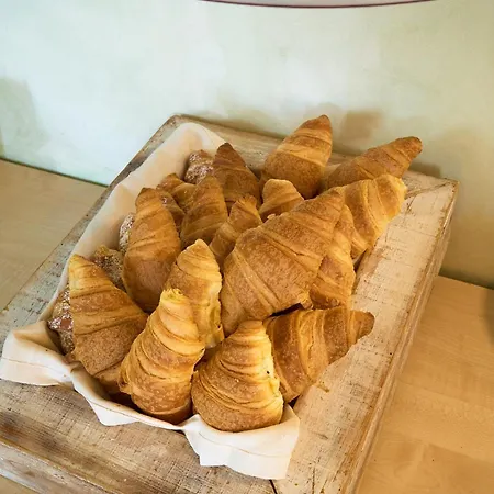 Delfina Palace Foligno