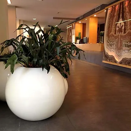 德尔菲娜皇宫酒店 4* 福利尼奥