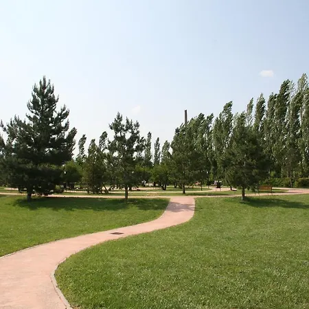 Delfina Palace Hotel 4*