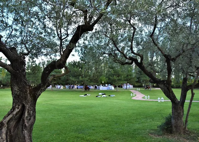 Delfina Palace 호텔