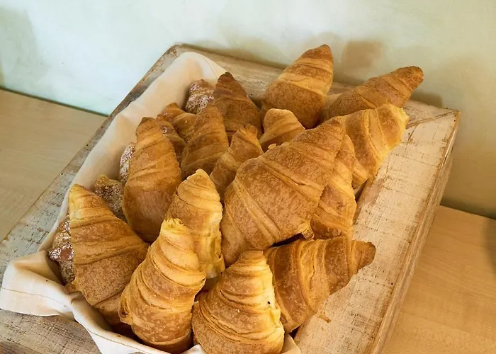 Delfina Palace 폴리뇨